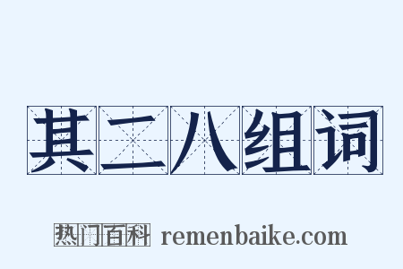 其二八组词是什么意思的图片